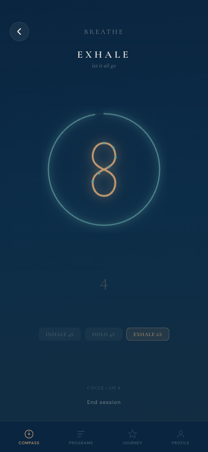 Tao Calma — Breathing exercise animation